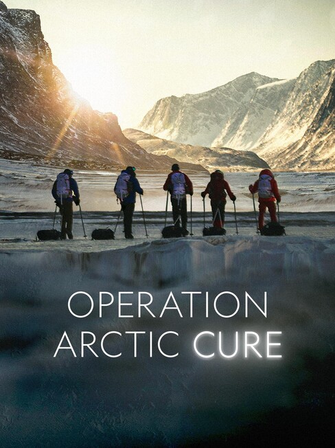 Operation Arctic Cure (2024)